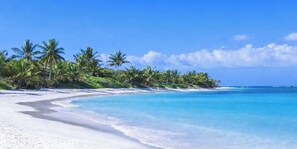 Ein Strand mit weißem Sand, klarem, blauem Wasser und Palmen.
