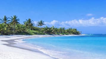 A beach with white sand, clear turquoise water, and palm trees.