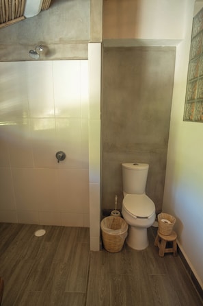 Ducha, secador de pelo, toallas, jabón