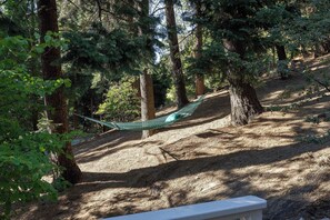 A hammock between trees in a forested area. - The Writer's Cabin in Lake Arrowhead Woods (Lake Arrowhead)