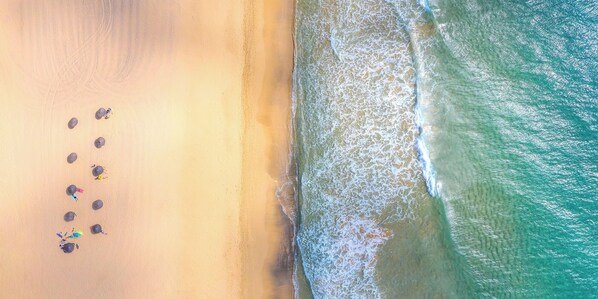 An aerial view of a beach with a row of umbrellas and beach chairs along the shoreline.