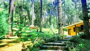 A forested area with a yellow building, stone steps, and a wooden bench. - Relaxing Chalet Campos do Jordao-sp Rds002 (Campos do Jordão)