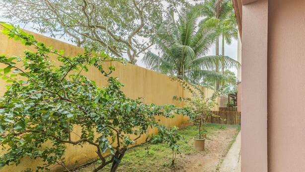 A garden with a yellow wall, a small tree, and a bamboo fence. - 2-bedro ap in Cond W/pool, 850 m the Beach Vgt0004 (Ilhéus)