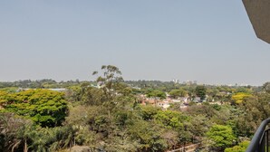 Zona residencial con abundante vegetación y cielo despejado.