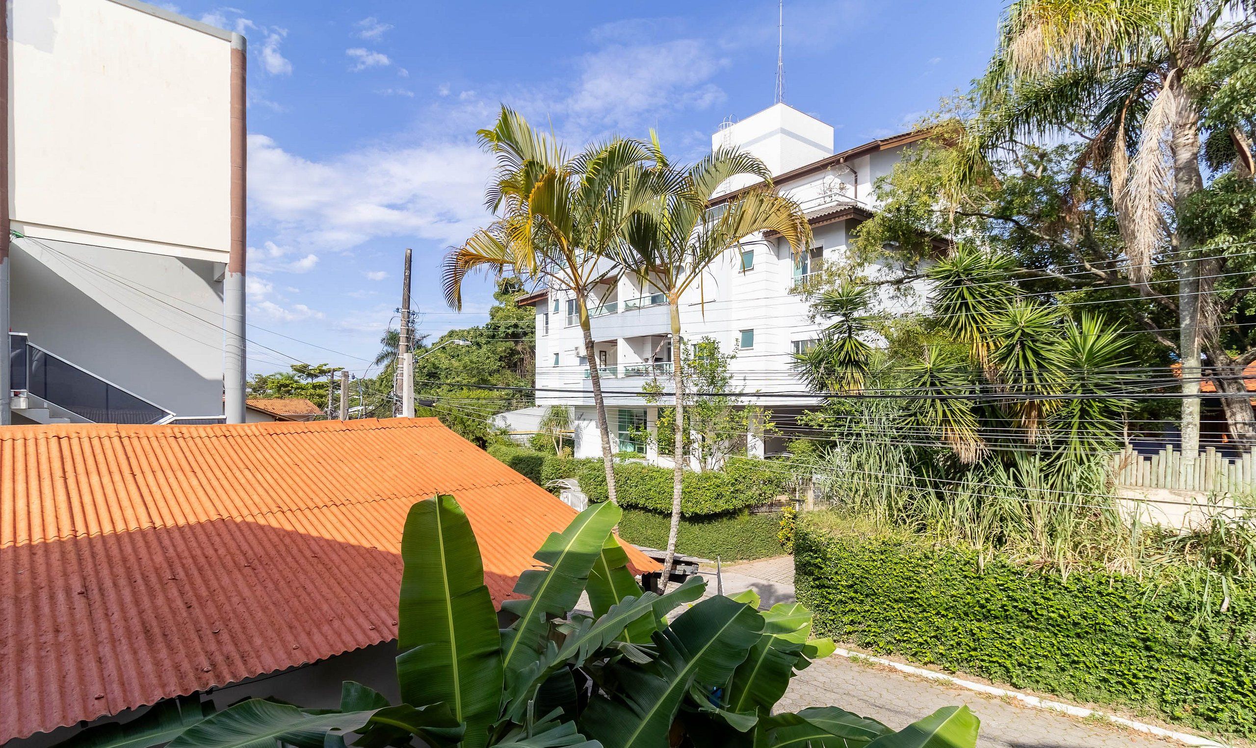 Zona residencial con un edificio blanco, una construcción de techo rojo y abundante vegetación, incluyendo plantas de banano.
