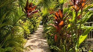 A stone pathway flanked by lush tropical plants and a building with a balcony. - Cozy Studio 150 meters from the beach (Les Trois-Îlets)