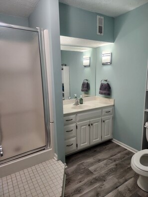 Une salle de bain avec une douche, un lavabo avec un miroir et des toilettes.