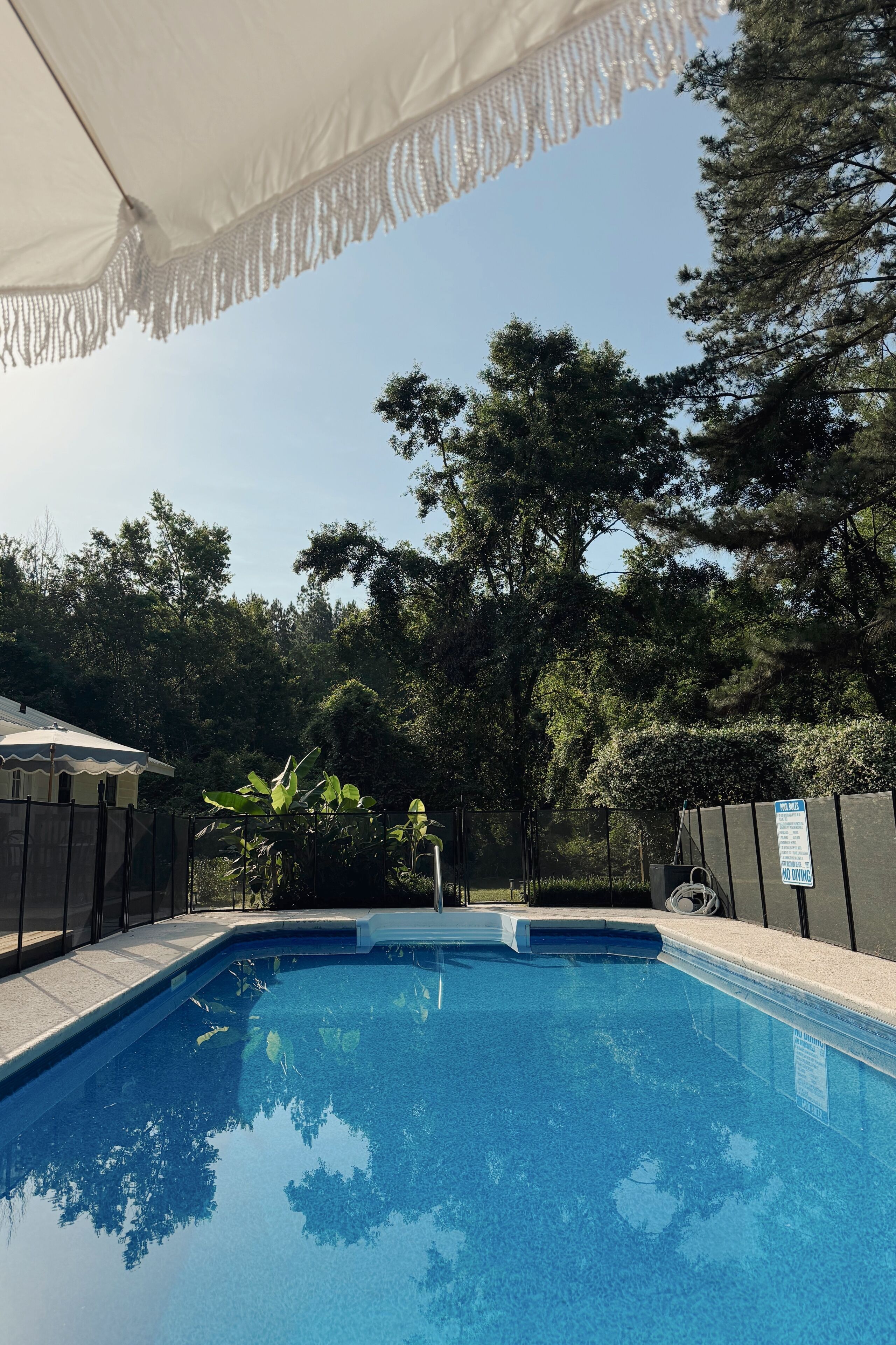 Une piscine à l’eau d’un bleu limpide, entourée d’arbres et d’une clôture.