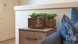 Ett modernt vardagsrum med ett sidobord i trä, en radio och en växt.