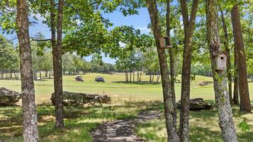A golf course with trees, a path, and a birdhouse.