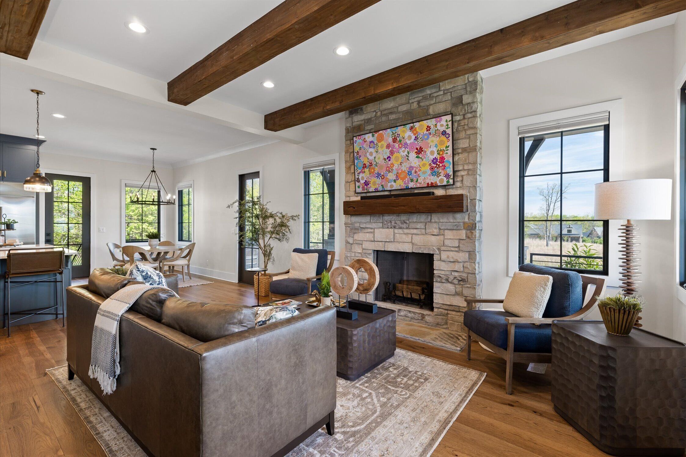 TV, fireplace
