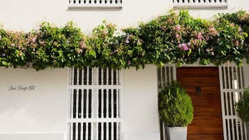 Detalle exterior