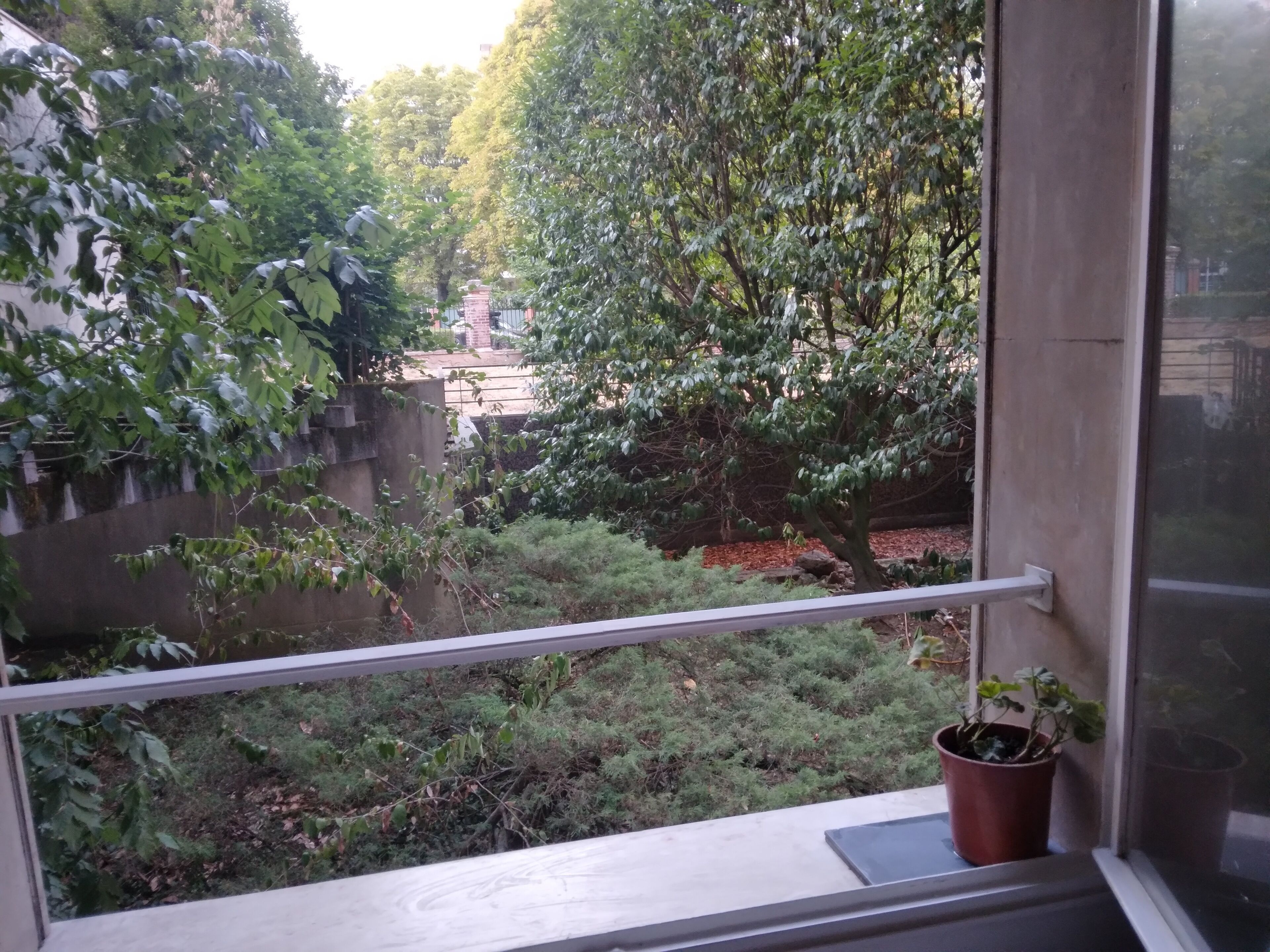 Un balcon donnant sur un jardin, avec une plante en pot et un mur de pierre.