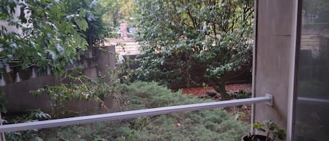 Un balcon donnant sur un jardin, avec une plante en pot et un mur de pierre.