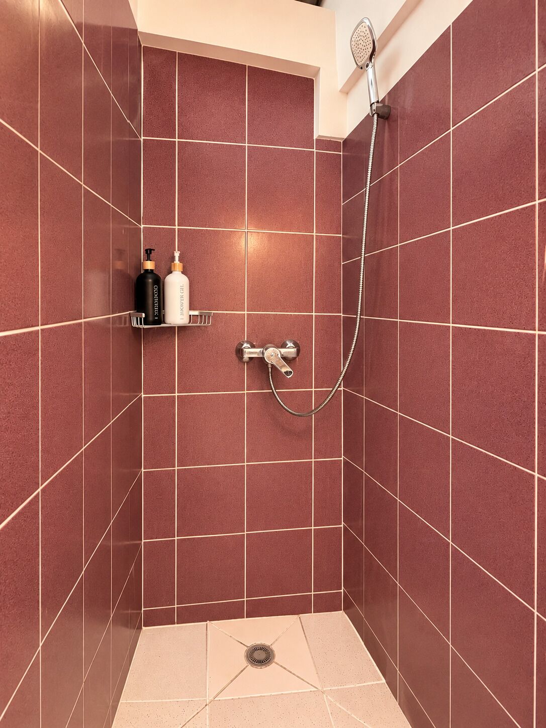 Een douchegedeelte met een handdouche en een kraan op de muur. Er staan twee flessen op een plank, een zwarte en een witte.