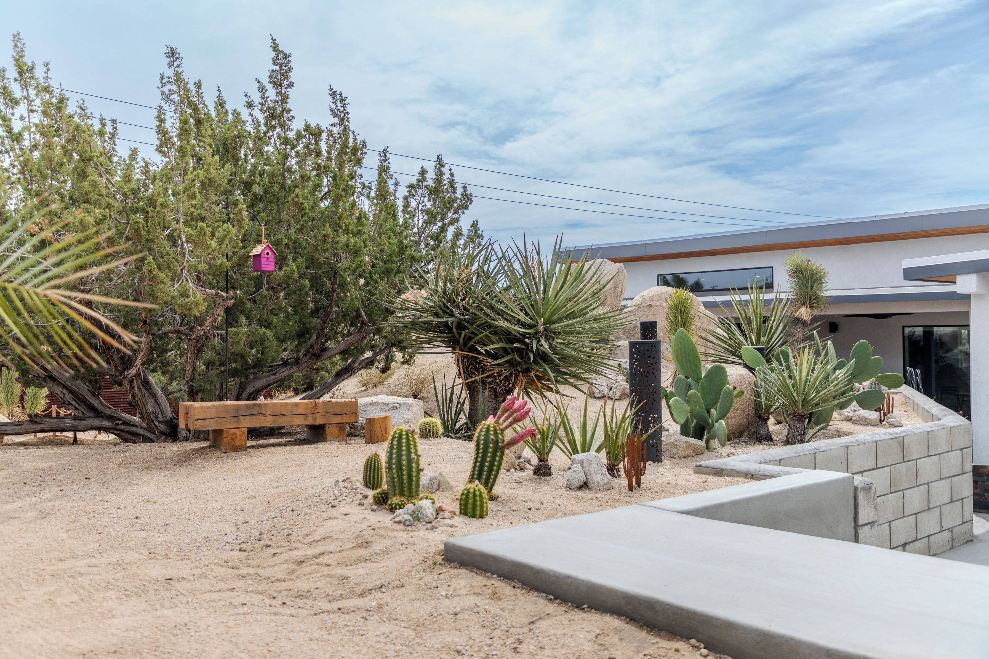 A desert garden with cacti, a wooden bench, and a birdhouse.