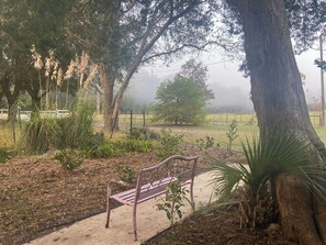 A bench in a park with trees and a fence in the background.