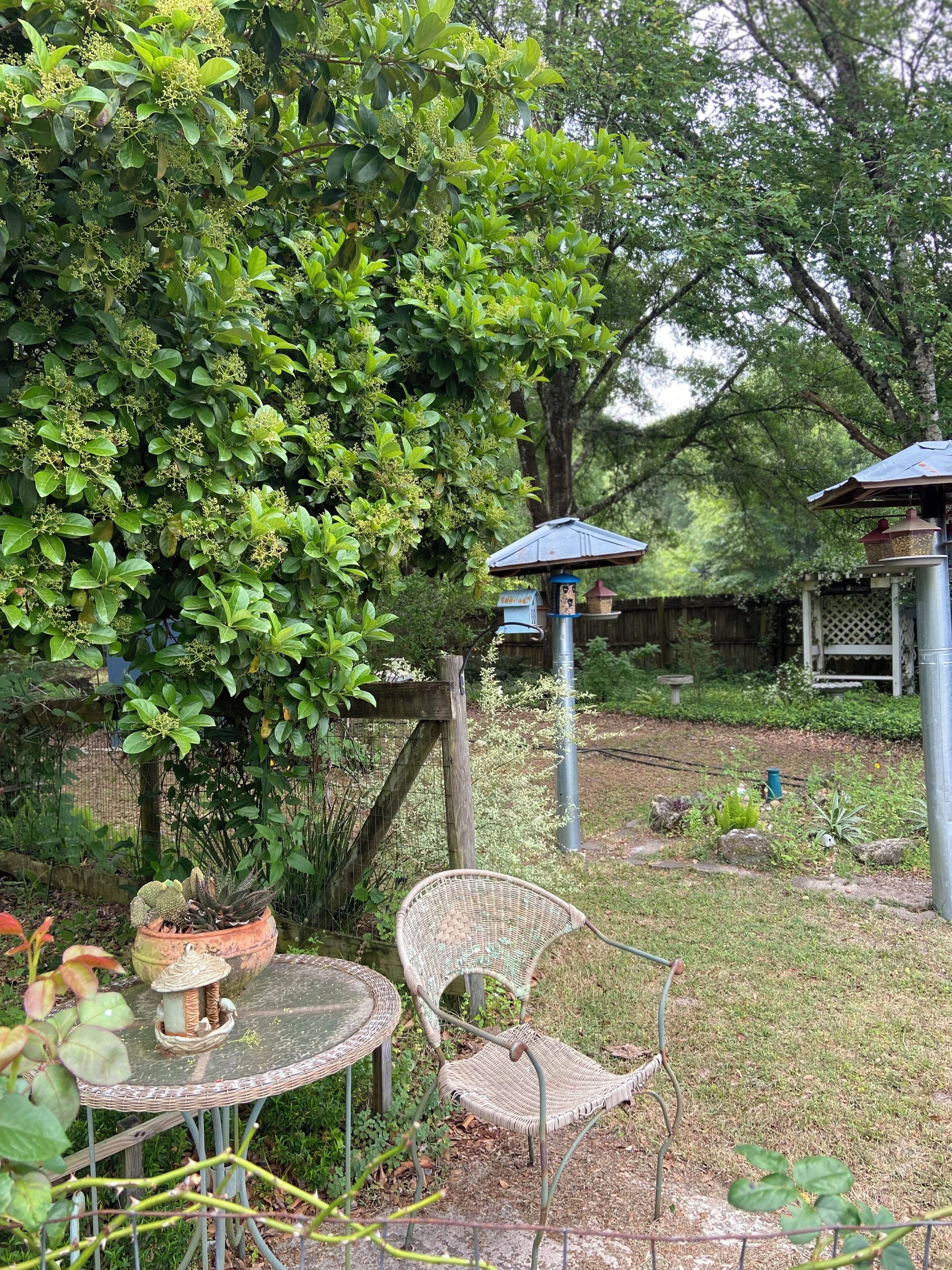 Un jardin agrémenté de meubles en osier, d’une mangeoire à oiseaux et d’une clôture en bois.