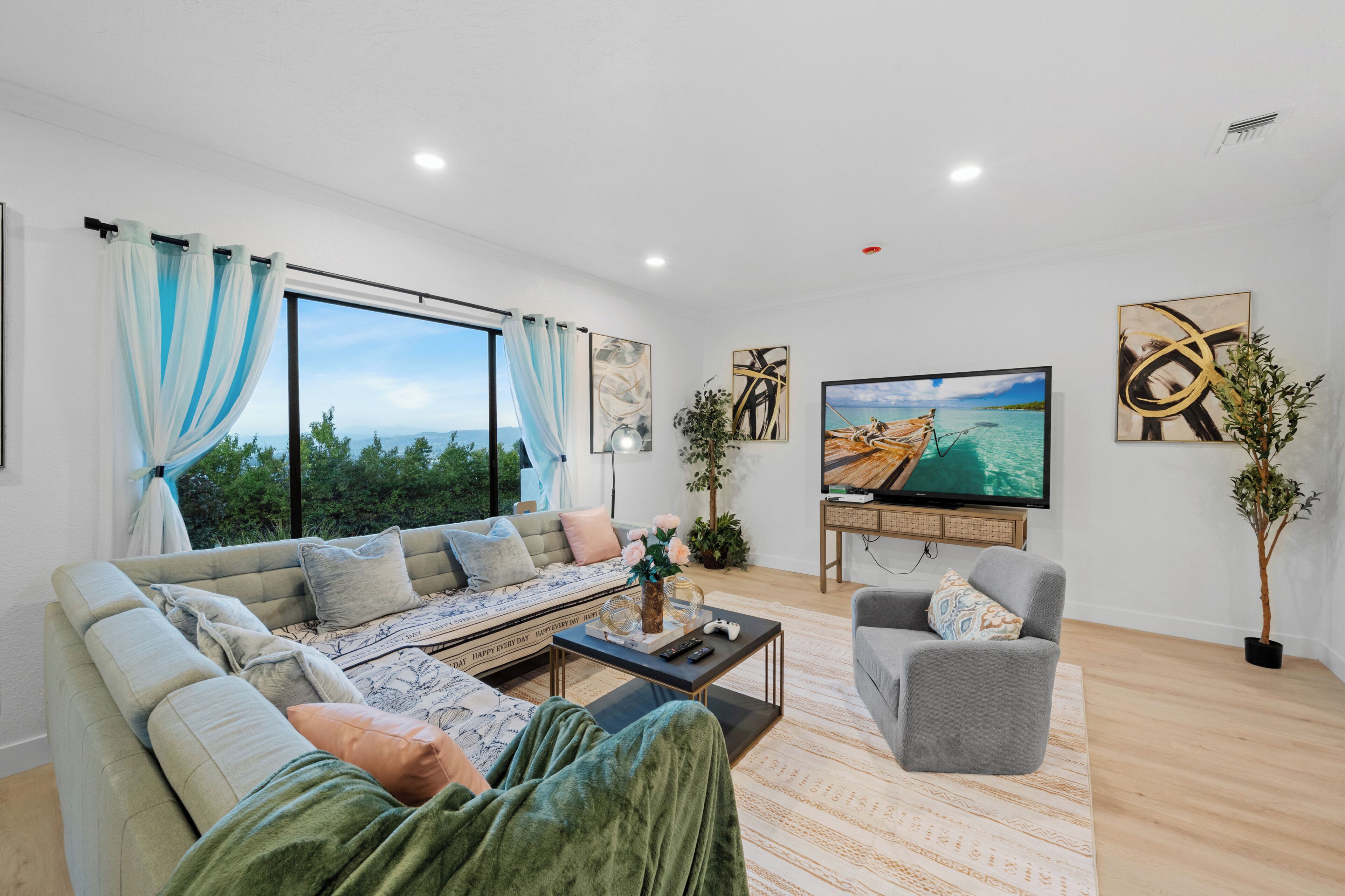 Smart TV, books, music library