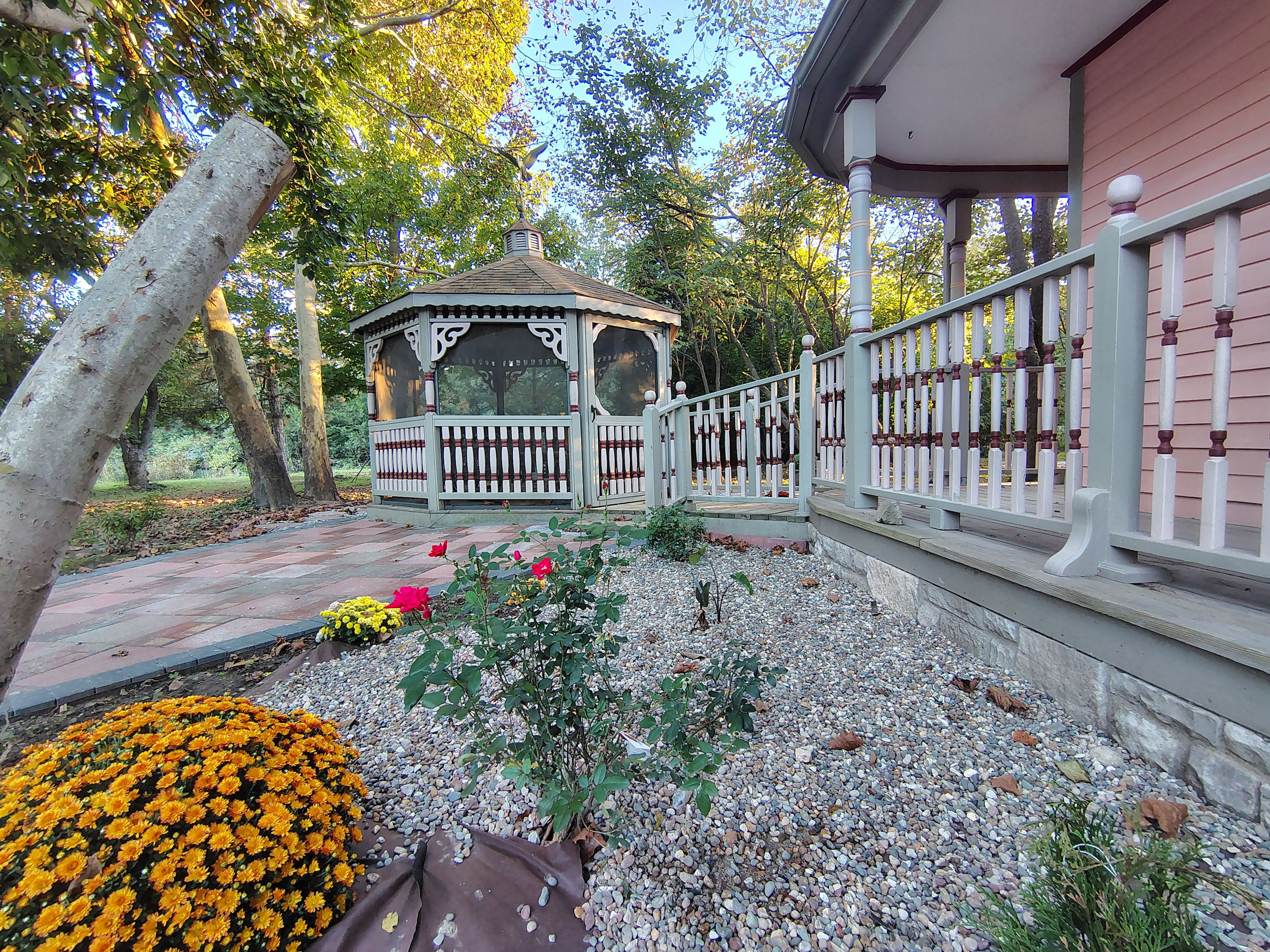 A gazebo with a white picket fence, surrounded by a gravel path and various plants.