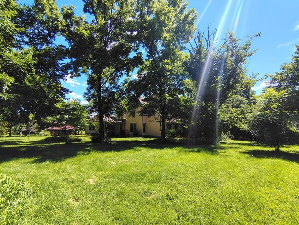 A grassy area with trees and a building in the background.