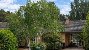 Una proprietà residenziale con vialetto lastricato che conduce a un ingresso coperto, immersa nel verde e alberata.