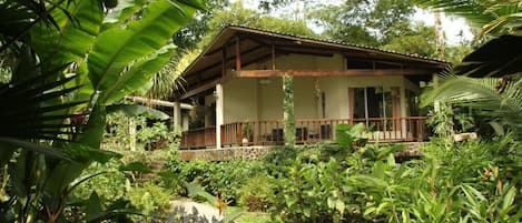 A house with a porch surrounded by lush greenery.