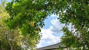 Ein Wohnhaus mit überdachter Veranda, Rasenfläche und Baum im Vordergrund.