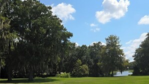 A grassy field with trees and a body of water in the distance.