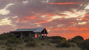 Une maison moderne avec un toit plat et un porche abrité, entourée d’une végétation naturelle.