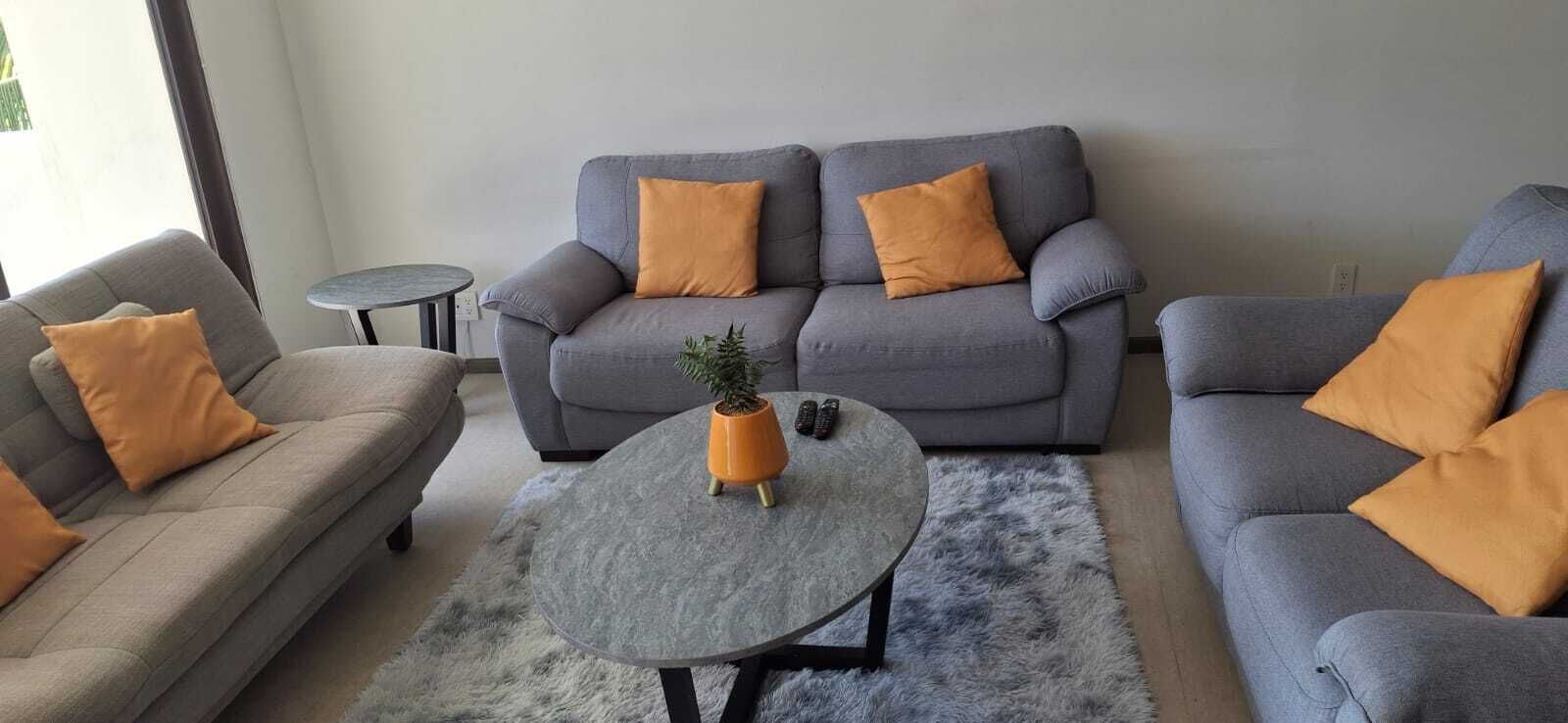 A living room with a grey sofa set, two small side tables, and a round coffee table with a plant.