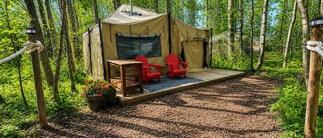 A tent with a table and two chairs, surrounded by a forest.