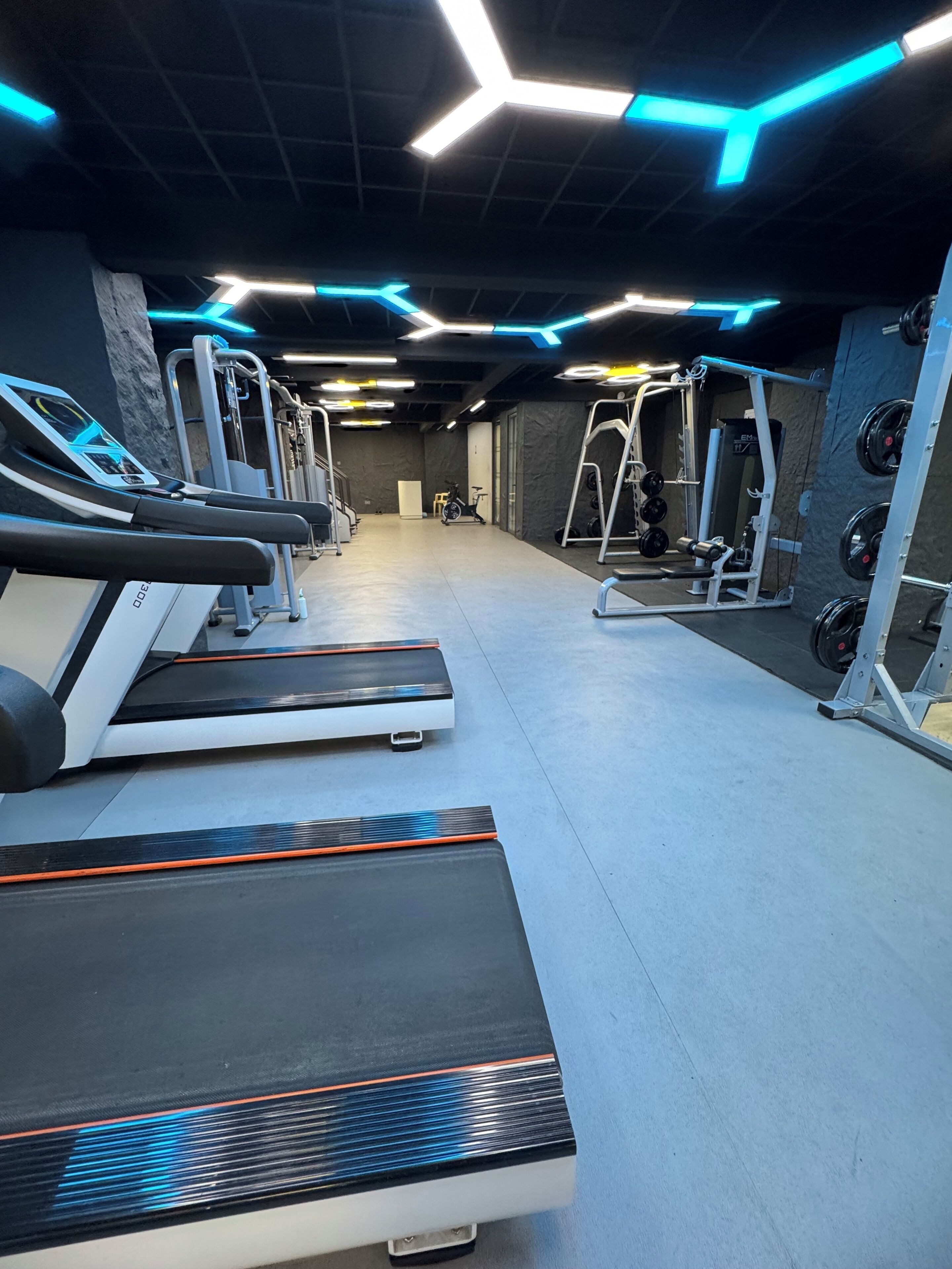 A gym with treadmills, weight machines, and a wall-mounted squat rack.