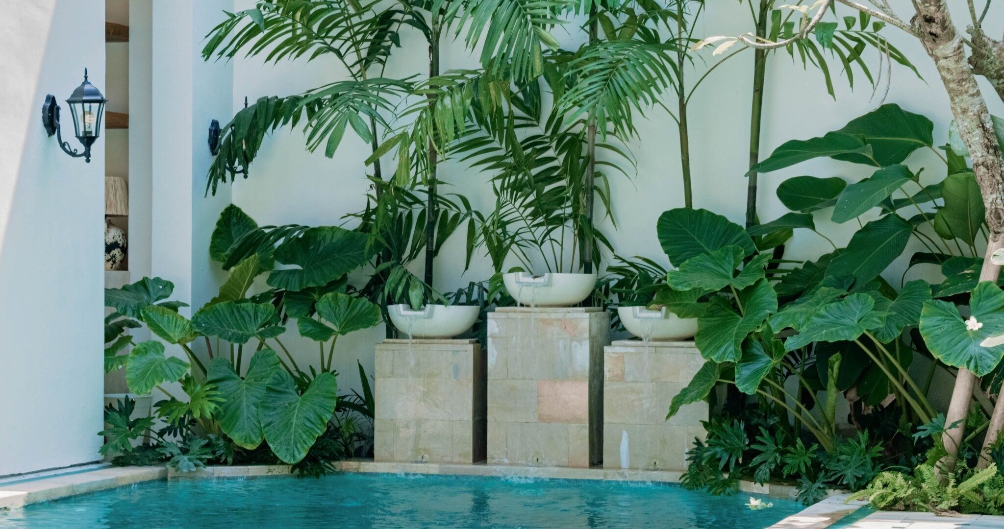 Zona de piscina con plantas tropicales grandes y una pared blanca.