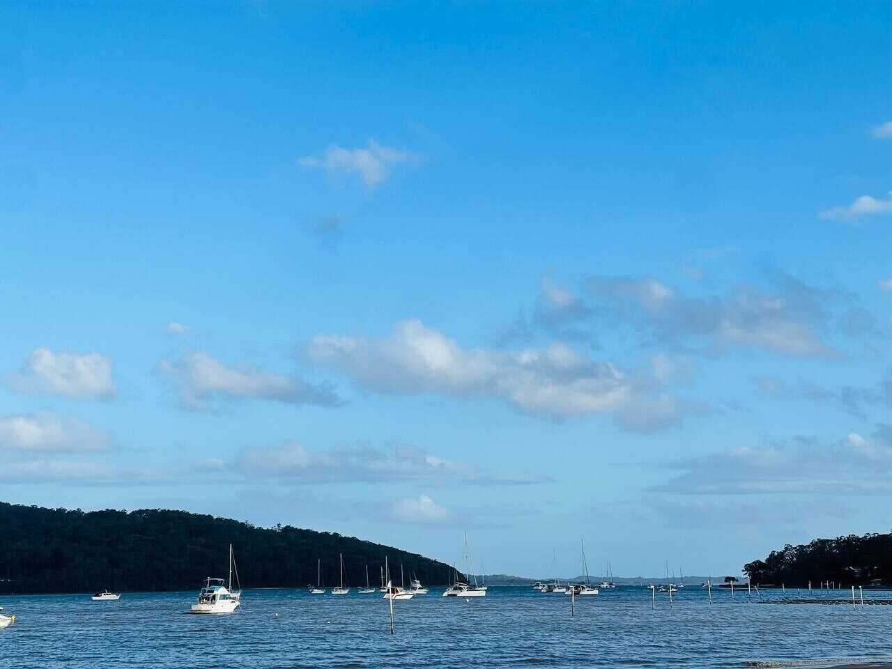 Ruhige Wasserfläche mit mehreren vor Anker liegenden Booten, umgeben von einer bewaldeten Küste.