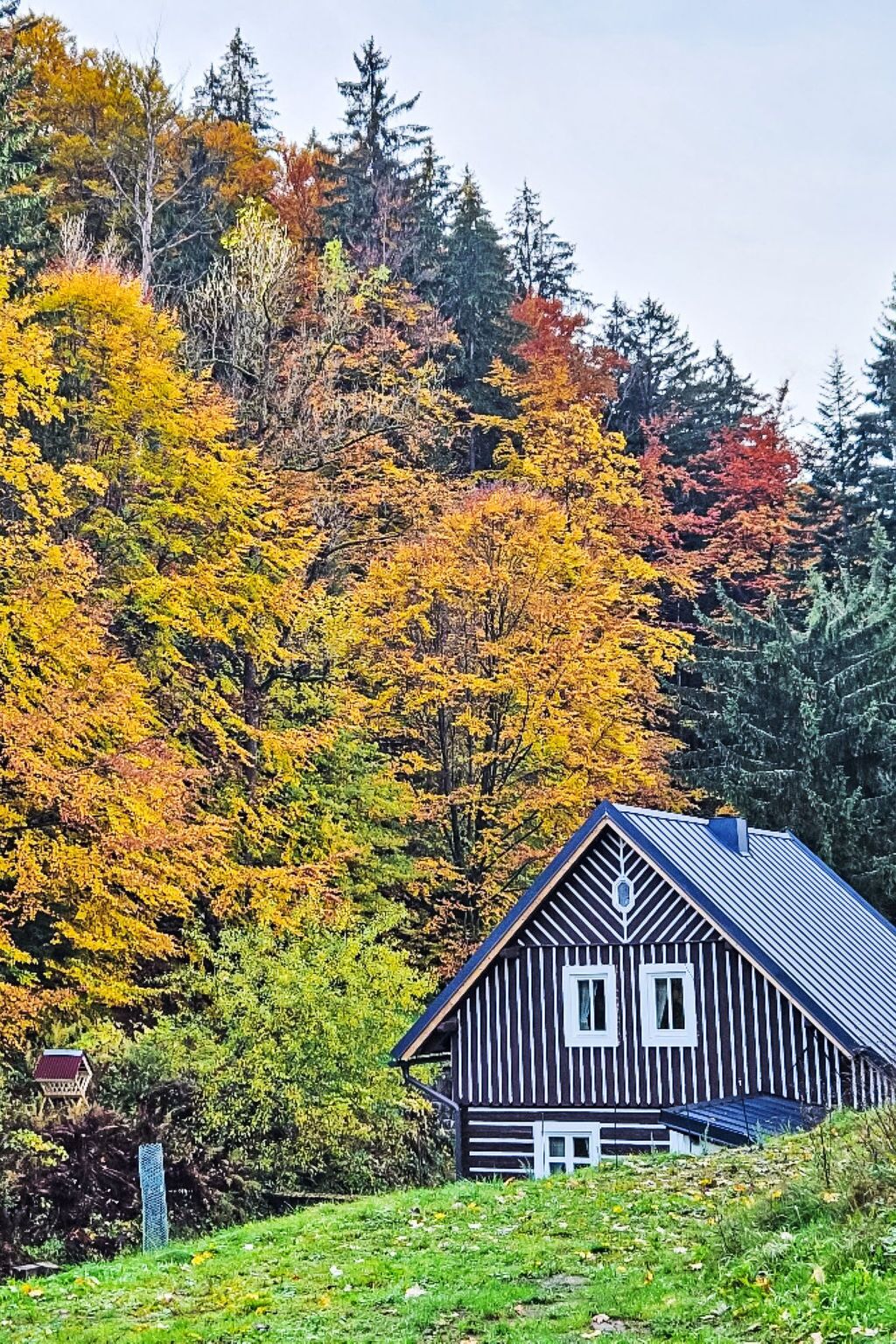 Una cabaña de techo inclinado, rodeada de un bosque con follaje otoñal.