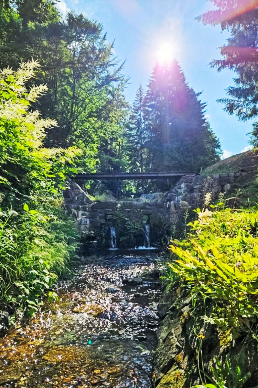 Paisagem natural com uma cascata, vegetação densa e uma ponte de pedra.