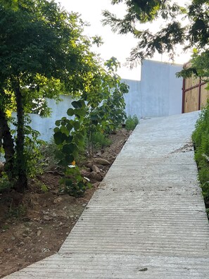 Un vialetto in legno che si snoda attraverso un giardino con alberi e un muro in cemento sullo sfondo.