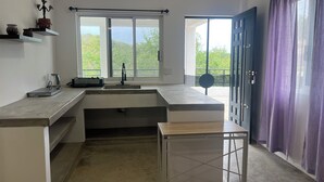Eine moderne Küche mit Spüle, Arbeitsfläche und Blick auf Grünflächen.