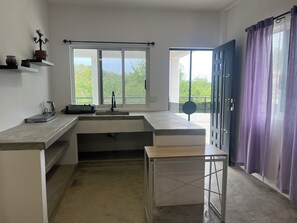 Eine moderne Küche mit Spüle, Arbeitsfläche und Blick auf Grünflächen.