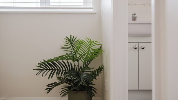 Una planta en maceta en una esquina, con una ventana arriba y un armario blanco con un pequeño objeto decorativo.