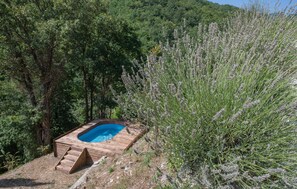 Eine Holzterrasse führt zu einem rechteckigen Pool, umgeben von dichtem Grün und Bäumen.