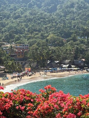 A beach with a clear view of the sea, a sandy shore, and a backdrop of dense green forest. - Located right on the water! Modern 1-bedroom condo in tranquil Mismaloya  (Mismaloya)