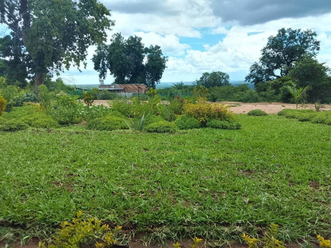 Un campo cubierto de hierba con árboles y un edificio al fondo.
