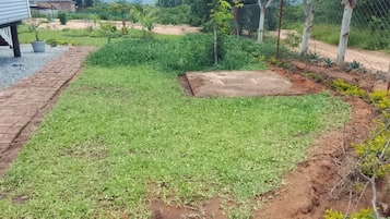 A garden with a paved area, a brick path, and various plants.