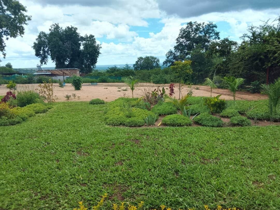 A landscaped garden with a variety of plants and trees, a dirt path, and a small building in the background.