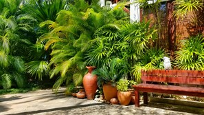Un jardín con un banco y plantas grandes en macetas.
