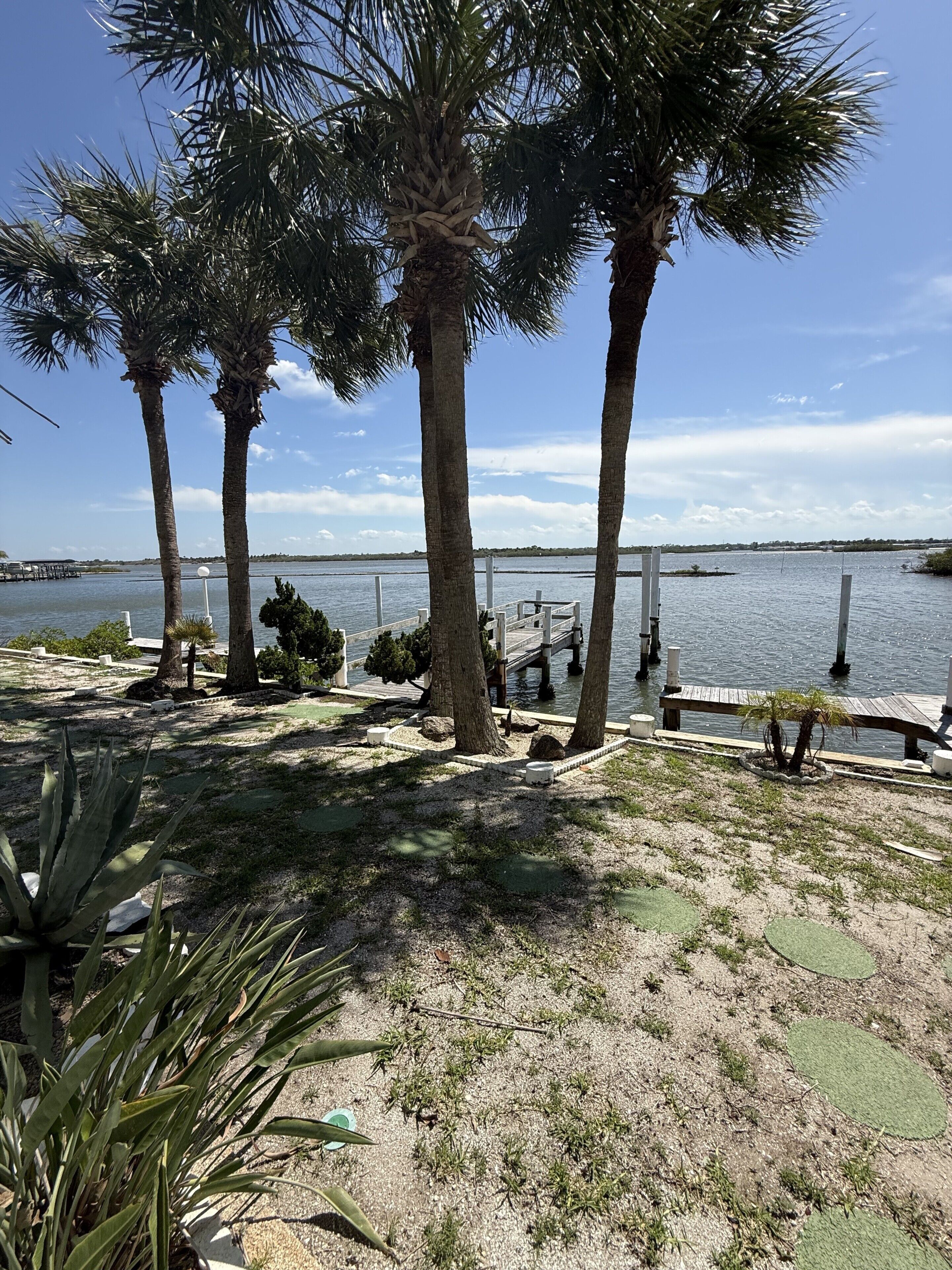 A waterfront property with palm trees, a dock, and a clear view of the water.