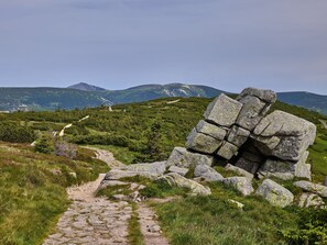Eine Steinkiste auf einer grasbewachsenen Hügelkuppe, ein Pfad führt hinauf.