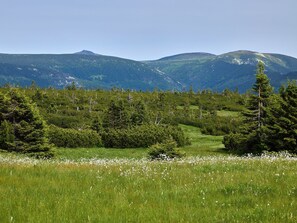 Eine gebirgige Landschaft mit dichten Wäldern und blauem Himmel.